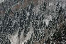 Adamello Brenta