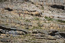 Adamello Brenta