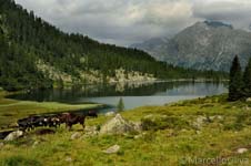 Adamello Brenta