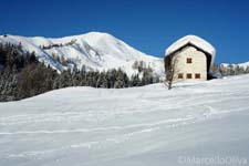 Adamello Brenta