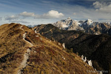 Adamello Brenta