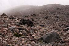 Volcanoes and the Andes of Ecuador