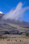 Volcanoes and the Andes of Ecuador