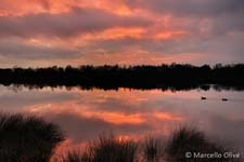 Sunset, Tramonto