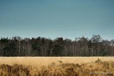 Landscape, paesaggio