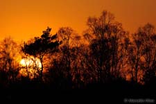 Sunset, Tramonto