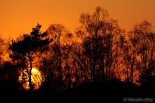 Sunset, Tramonto