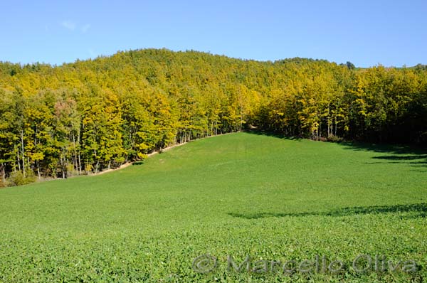 Paesaggio