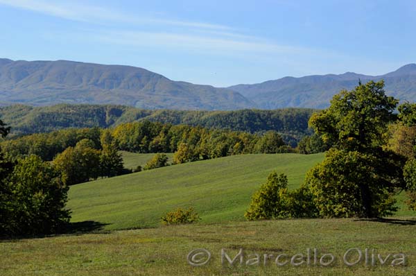 Paesaggio