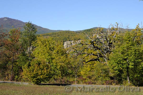 Paesaggio