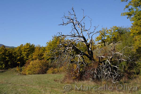 Paesaggio