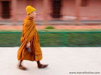 Indian Lifestyle