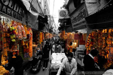 Indian Lifestyle
