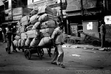 Indian Lifestyle