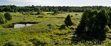 Biebrza National Park
