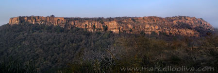 Ranthambhore NP, The Tiger