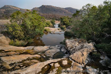 Ranthambhore NP, The Tiger