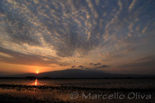 Lake Natron, Lago Natron