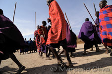 Masai tribe, Trib Masai