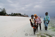 Zanzibar girls, Ragazze di Zanzibar